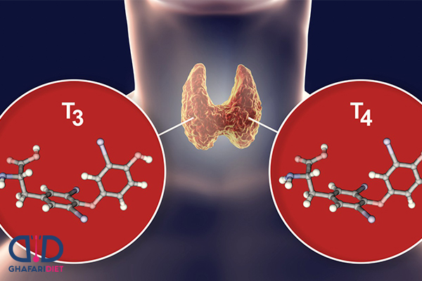 هورمون تیروئید