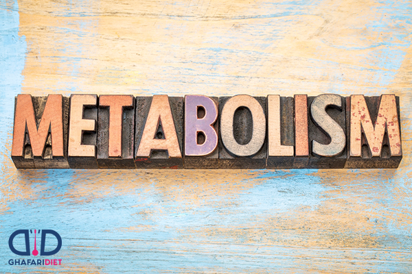 متابولیسم پایه چیست