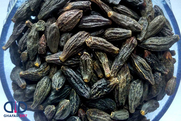 خواص هلیله سیاه برای لاغری
