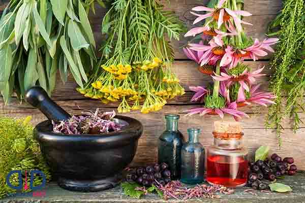 مضرات عرق بید