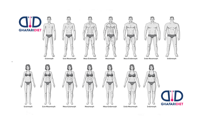 شکل های مختلف بدن و تغذیه مناسب آن (1)