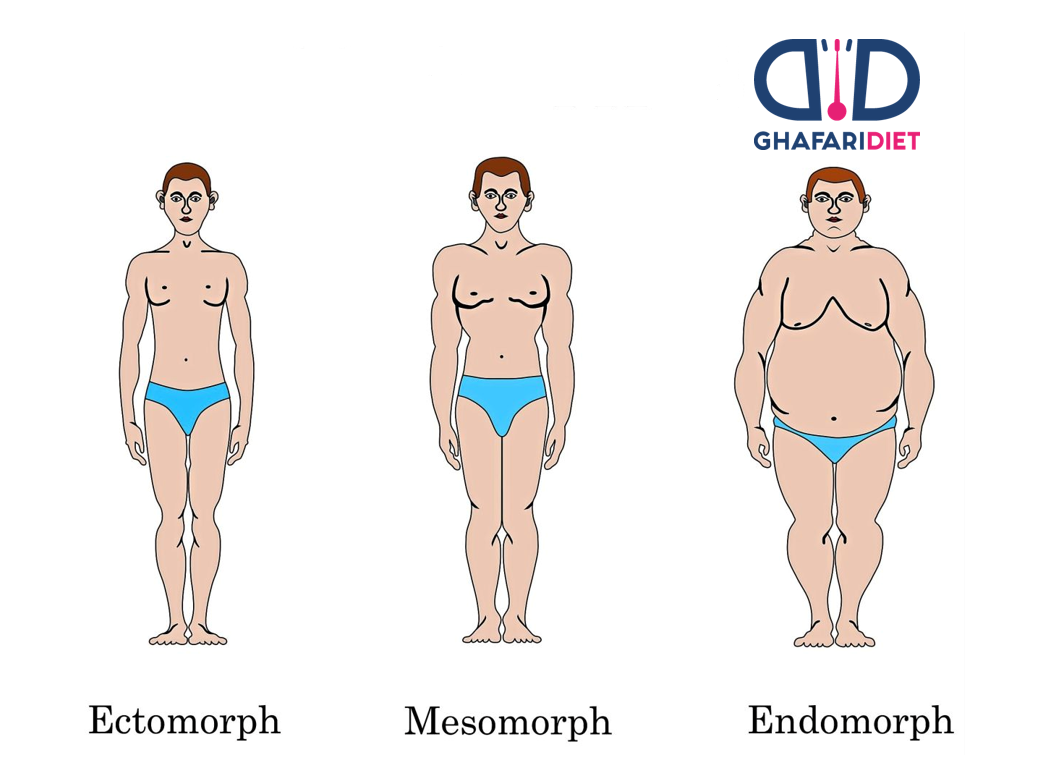 شکل های مختلف بدن و تغذیه مناسب آن (2)
