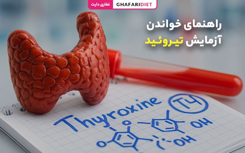 راهنمای خواندن آزمایش تیروئید (TSH) و نحوه تفسیر آنلاین آن راهنمای خواندن آزمایش تیروئید (TSH) و نحوه تفسیر آنلاین آن