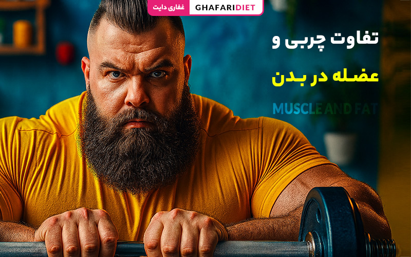 تفاوت چربی و عضله در بدن [ مقایسه ساختار، عملکرد]
