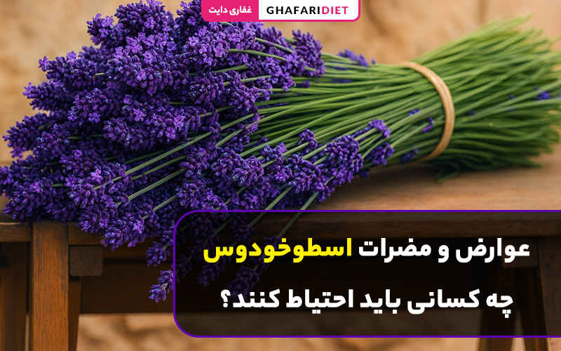 عوارض و مضرات اسطوخودوس؛ چه کسانی باید احتیاط کنند؟ عوارض و مضرات اسطوخودوس؛ چه کسانی باید احتیاط کنند؟