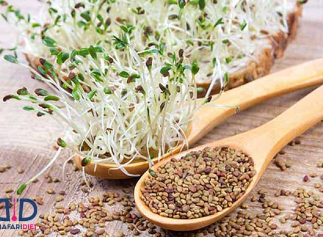 انواع عوارض و خواص جوانه یونجه برای کاهش وزن را بدانید!
