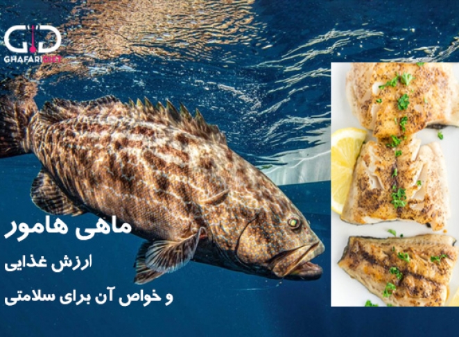 مصرف ماهی هامور برای چه افرادی توصیه شده است؟