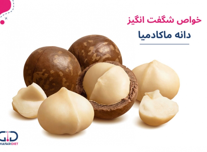 آجیل ماکادمیا چیست و خوردن آن چه فوایدی برای سلامتی دارد؟