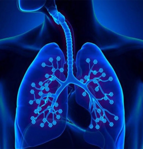 روش های طبیعی و موثر برای پاکسازی ریه ها