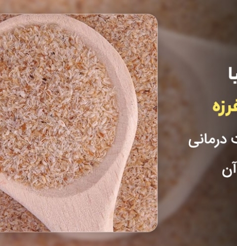 آشنایی با گیاه اسفرزه ( 10 خاصیت درمانی + عوارض)