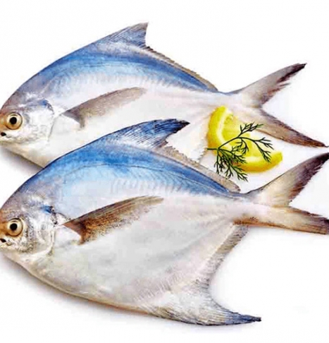 ارزش غذایی ماهی حلوا سفید و سیاه