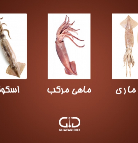 ۷ علت مهم که مصرف ماهی مرکب توسط پزشکان توصیه شده است