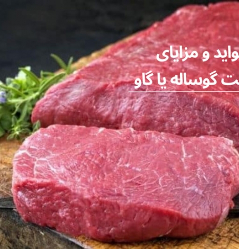 مهمترین خواص و فواید گوشت گوساله ( گاو )