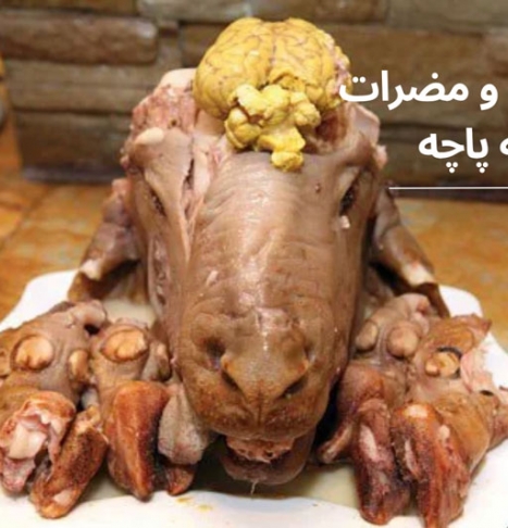 خوردن کله پاچه، چه خواص و مضراتی برای بدن دارد؟