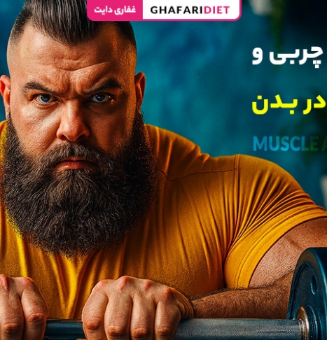 تفاوت چربی و عضله در بدن [ مقایسه ساختار، عملکرد]