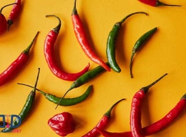 از خواص عجیب فلفل چیلی برای لاغری و کبد چرب چه می دانید؟!