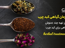 درمان گیاهی کبد چرب + طرز تهیه چند دمنوش گیاهی