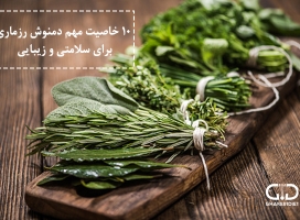 رزماری و ۱۰ خاصیت درمانی و زیبایی