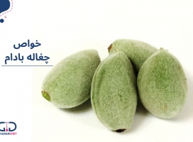 چغاله بادام خواص درمانی دارد!