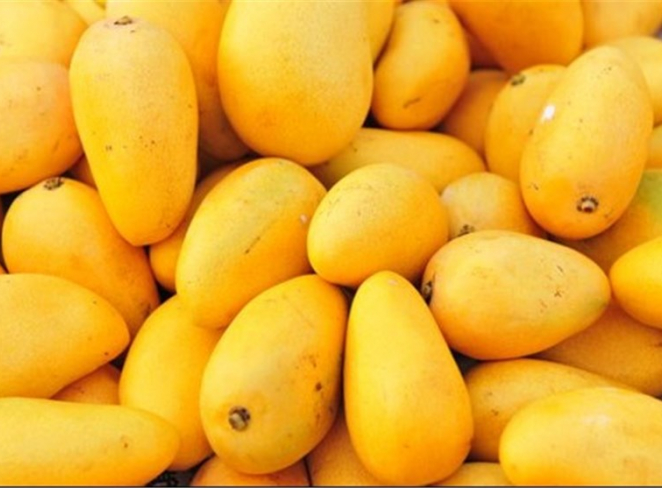 خواص انبه خواص انبه