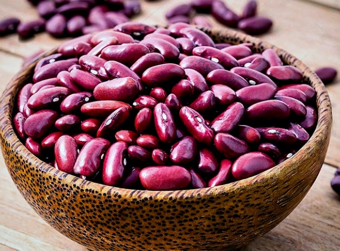 لوبیا لوبیا