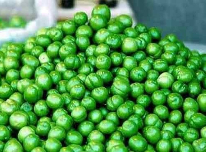 خواص گوجه سبز خواص گوجه سبز
