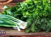 بهترین و خوشمزه ترین سبزی قرمه سبزی شامل چیست ؟!