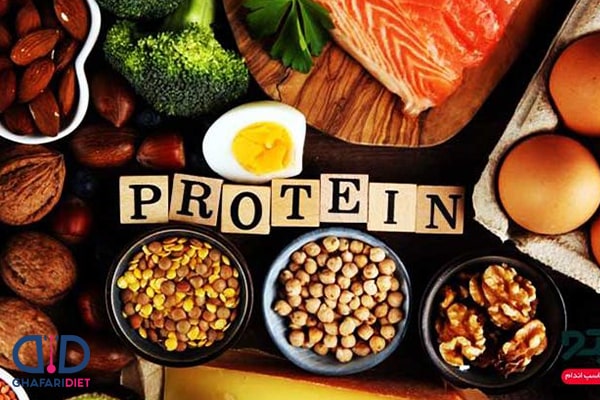 غذاها و میوه های پروتئین دار