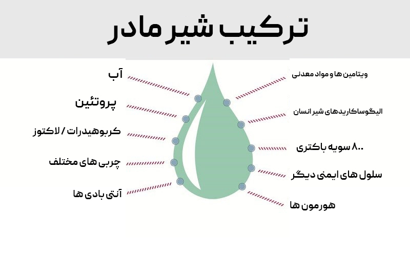 رژیم شیردهی