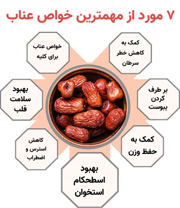 خواص عناب چیست