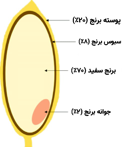  سبوس برنج 