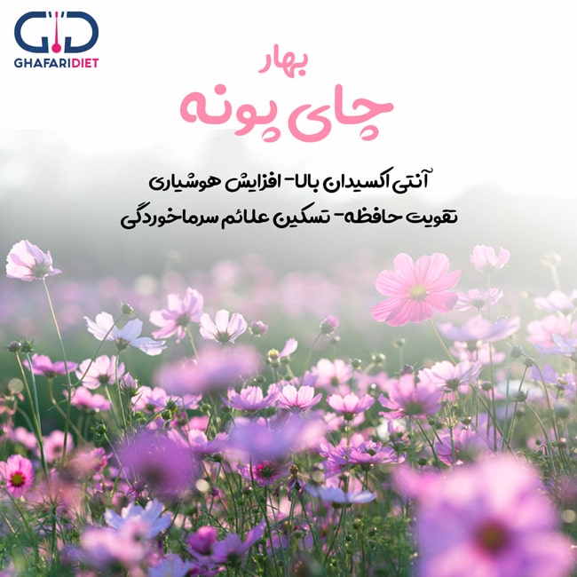 خواص پونه کوهی برای کبد