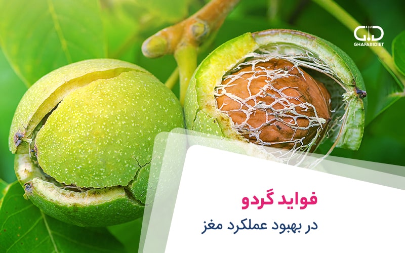 خواص گردو برای مغز انسان