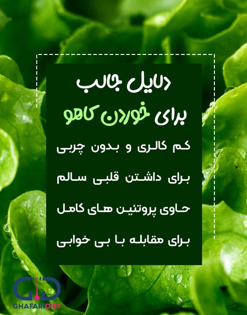 خواص درمانی کاهو