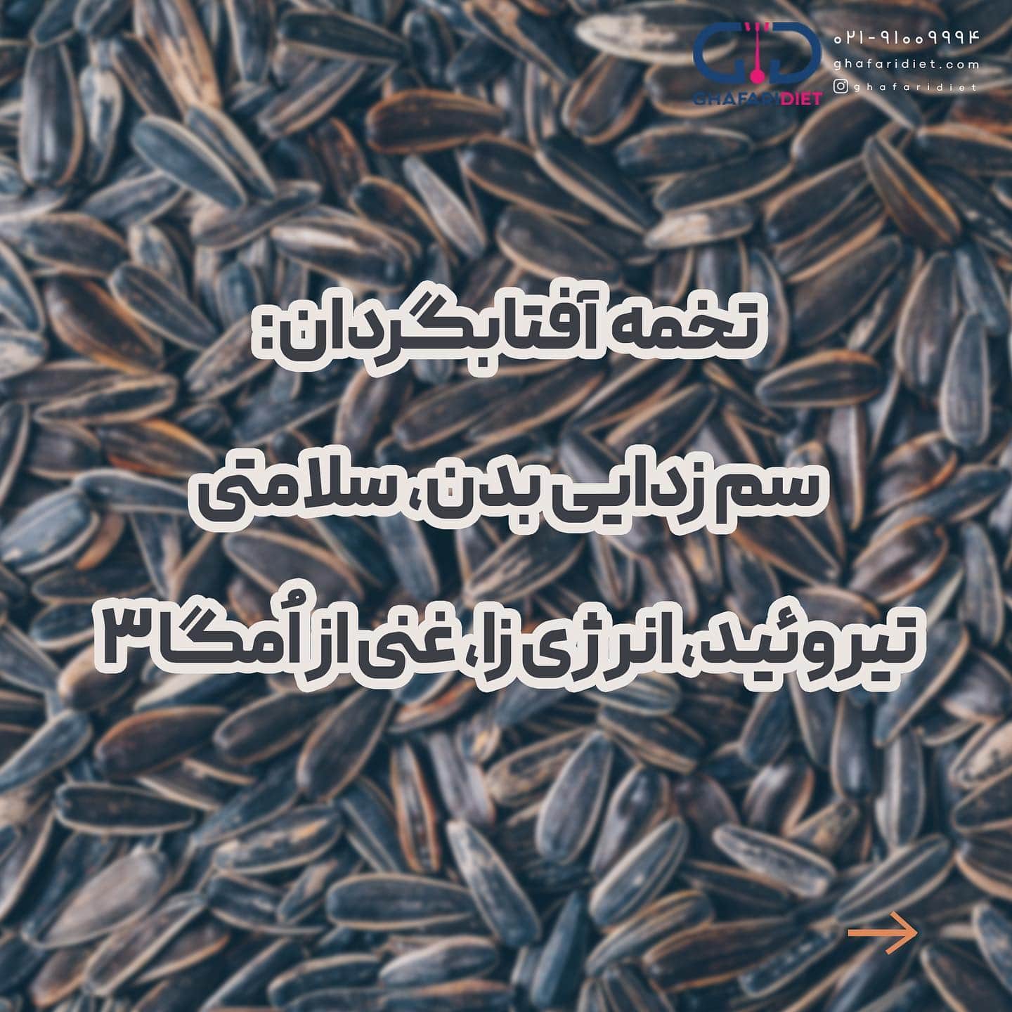 انواع تخمه