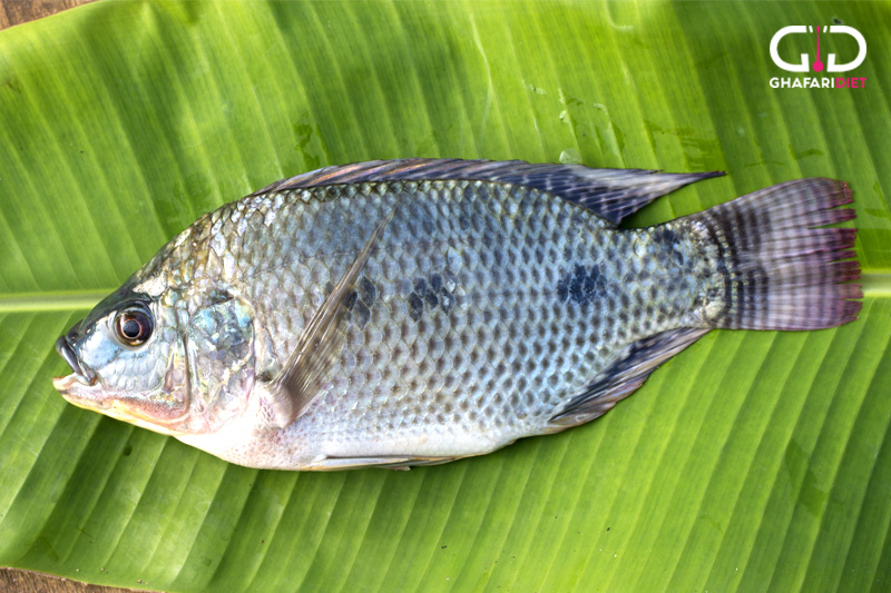 میزان جیوه ماهی تیلاپیا