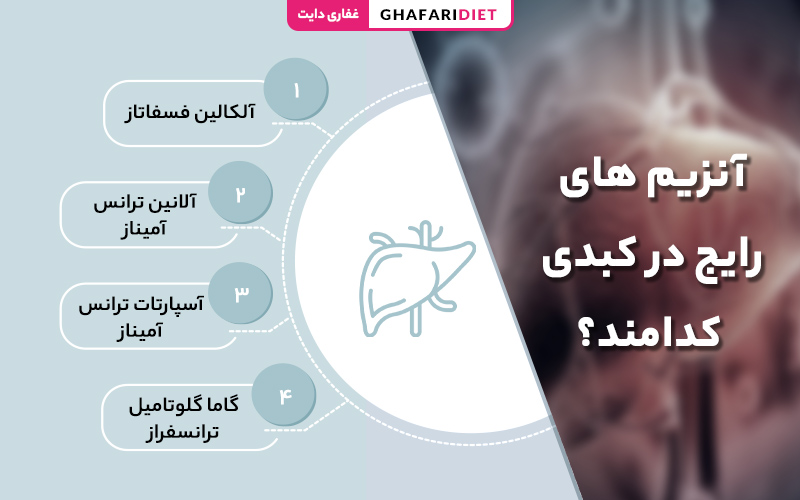 انواع آنزیم های کبدی کدامند؟